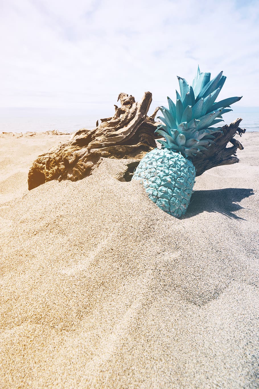 sand, plant, fruit, pineapple, nature, ocean, sea, water, outdoors HD wallpaper