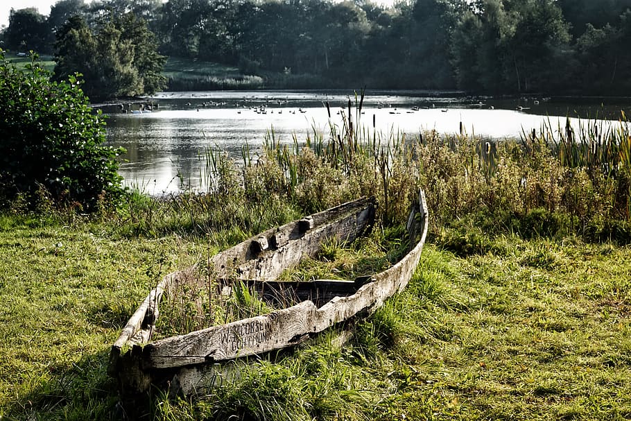 boat, lake, rowing boat, rest, grass, old, weathered, wood, HD wallpaper