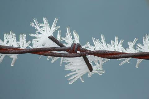 ice, outdoors, nature, wire, barbed wire, frost, snow, fence HD wallpaper