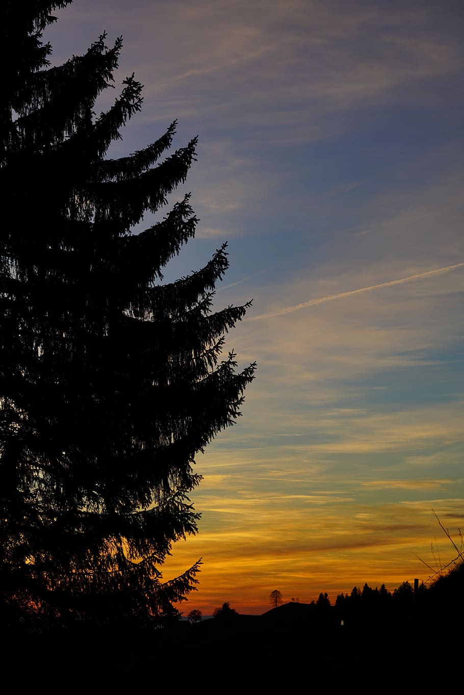fir tree, sunset, dusk, silhouette, sky, beauty in nature, scenics - nature HD wallpaper