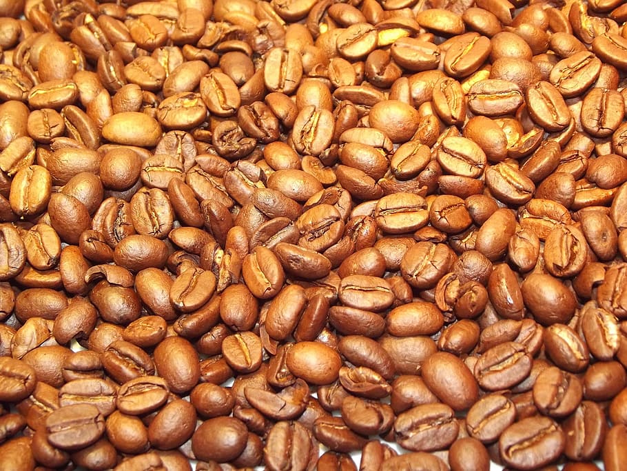 bean, coffee, black, dark, drink, nature, food and drink, brown HD wallpaper