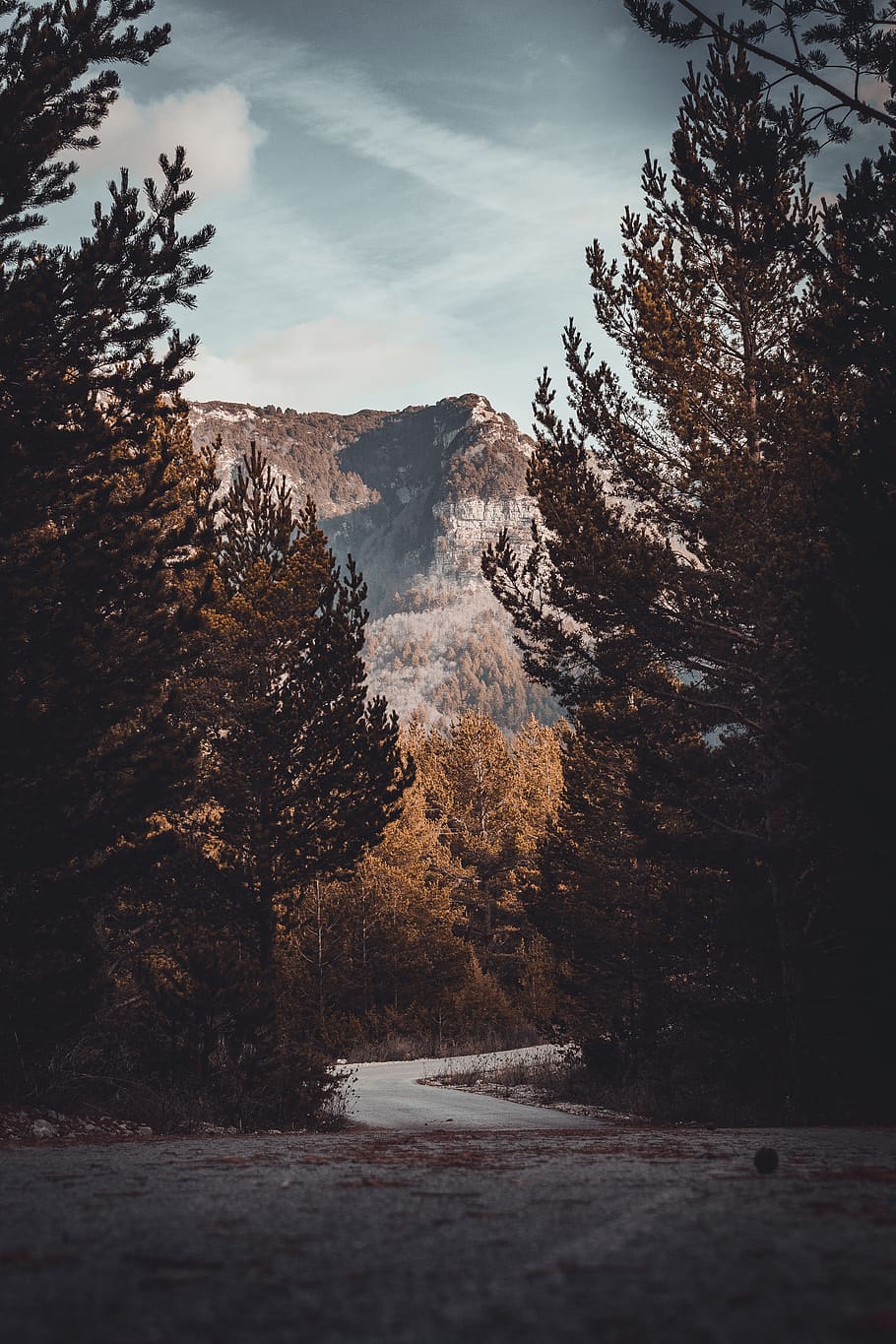trees and mountains, plant, tranquility, beauty in nature, water HD wallpaper