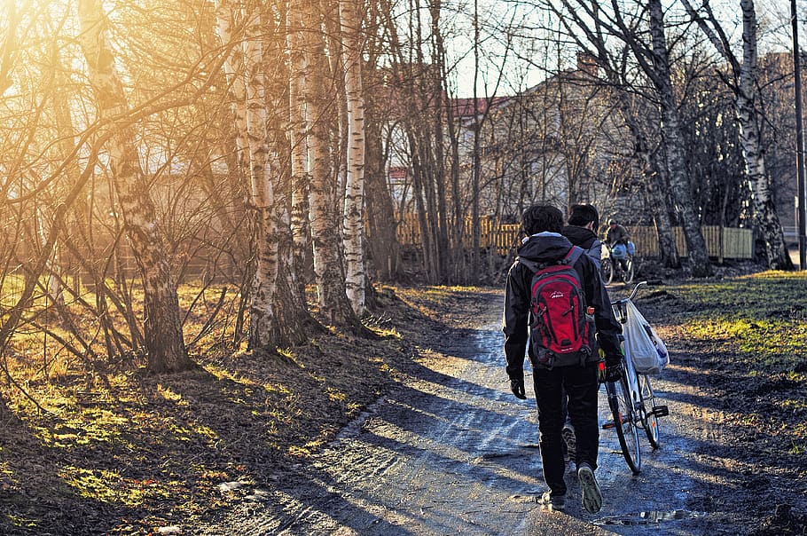 human, person, tree, plant, backpack, bag, outdoors, bicycle HD wallpaper