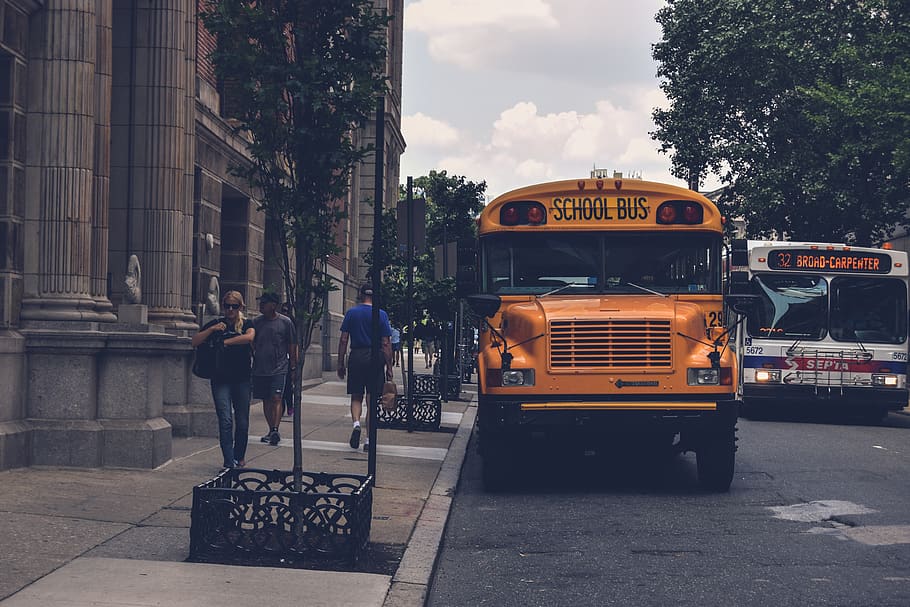 Yellow School Bus Beside Gray Concrete Building, architecture HD wallpaper