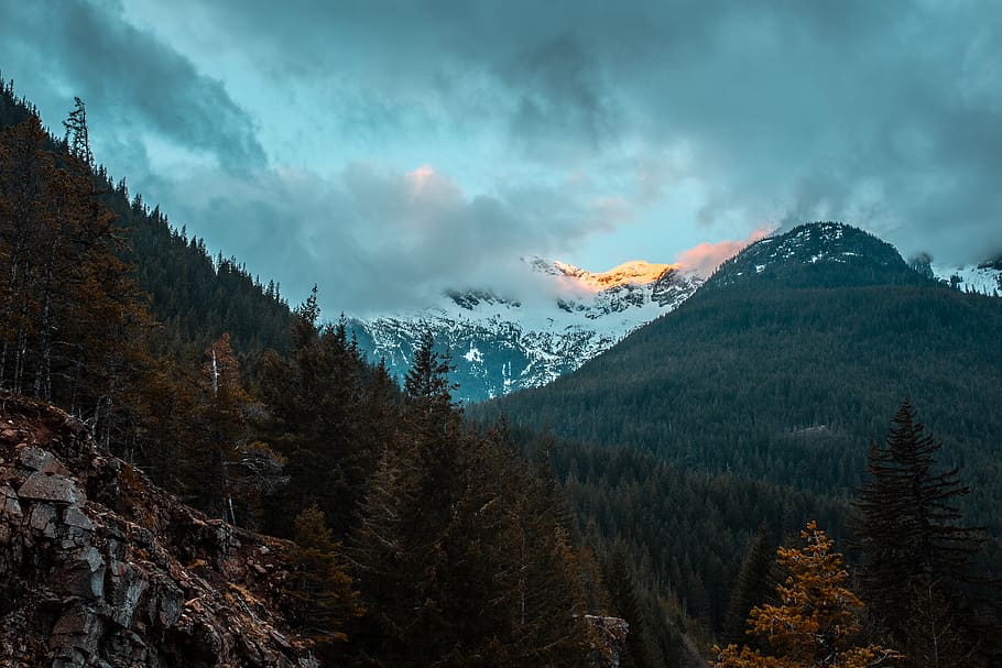mountain ranges, tree, scenics - nature, beauty in nature, plant HD wallpaper