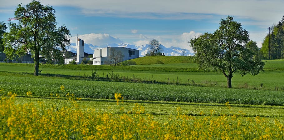 landscape, switzerland, aargau, nature, field of rapeseeds, HD wallpaper