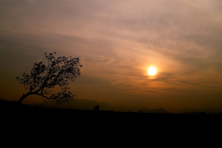 sunset, nature, landscape, sky, beauty in nature, silhouette HD wallpaper