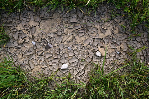 earth, dry, drought, ground, nature, texture, cracks, cracked HD wallpaper