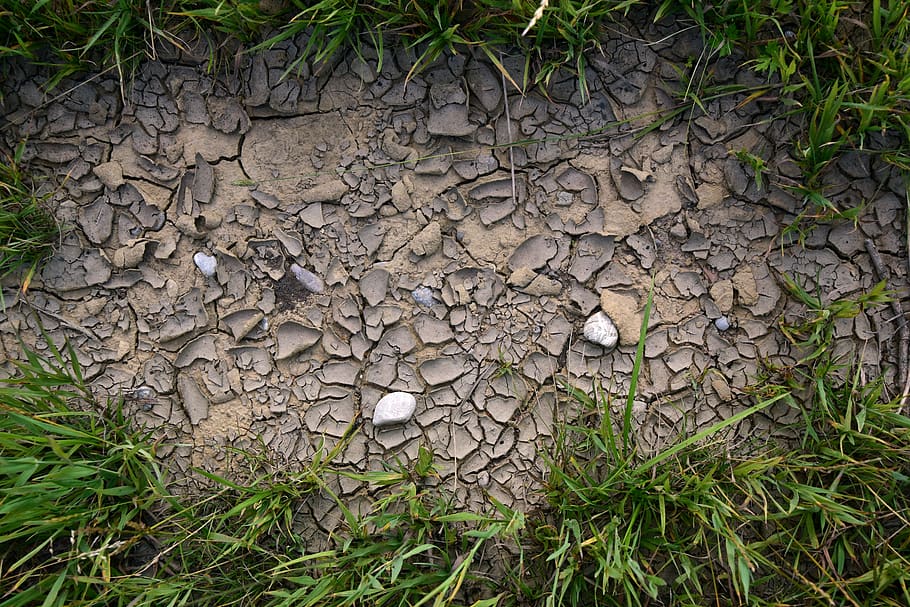 earth, dry, drought, ground, nature, texture, cracks, cracked HD wallpaper