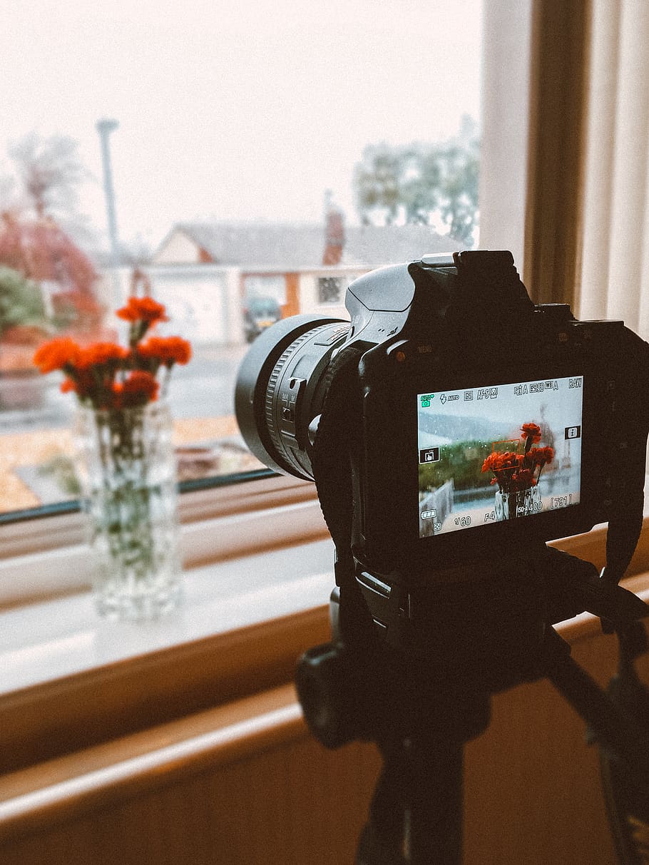 Black Dslr Camera Taking Photo of Orange Flowers in Clear Glass Flower Vase HD wallpaper