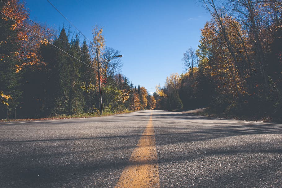 road between trees, dirt road, gravel, highway, perspective, yellow line HD wallpaper
