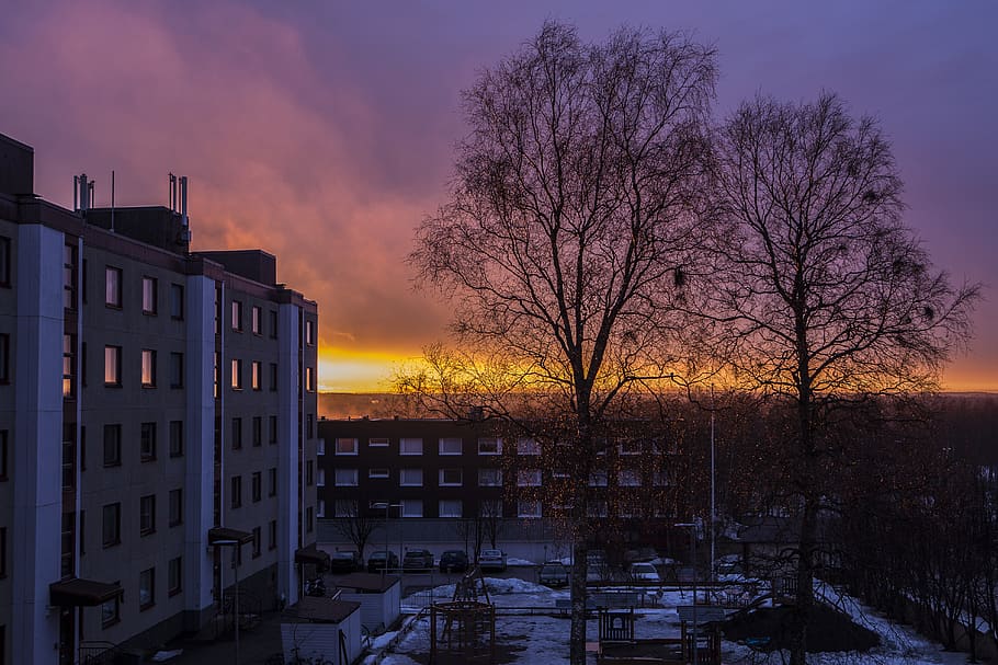 finland, tornio, sunset, trees, home, canon, landscape, building exterior HD wallpaper