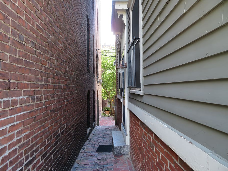 allyway, home, tree, built structure, architecture, building exterior HD wallpaper