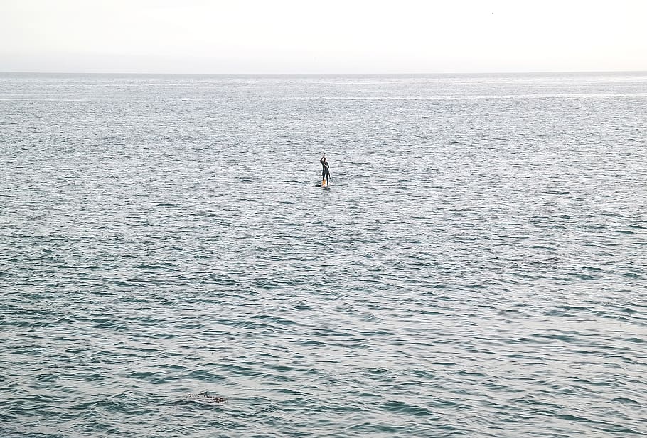 paddle, board, people, man, sport, sea, ocean, water, nature HD wallpaper