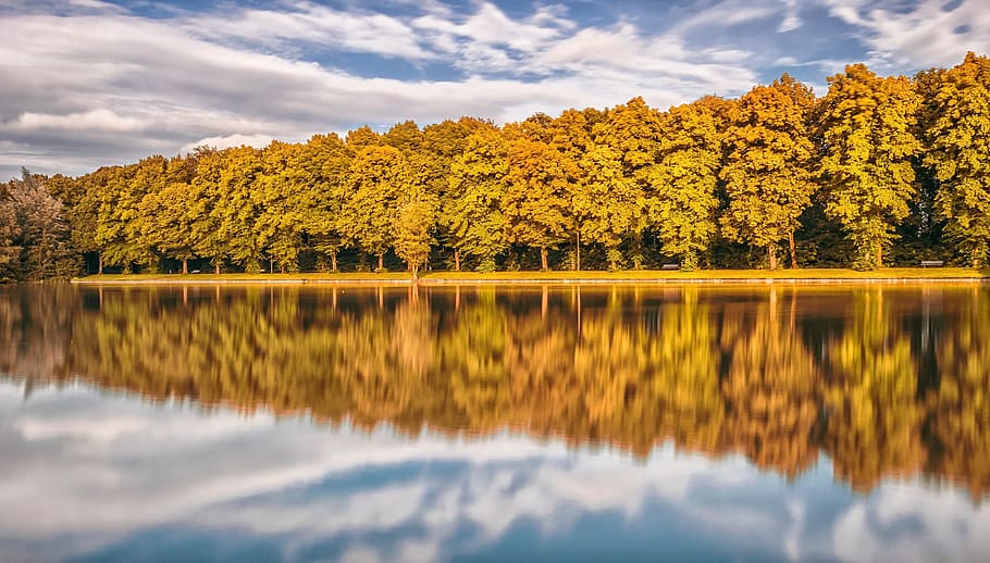 mirror, reflection, nature, jungle, forest, tree, woods, river HD wallpaper