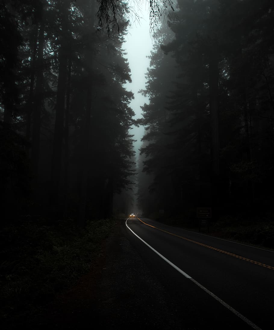 black and white corded device, tarmac, asphalt, highway, nature HD wallpaper