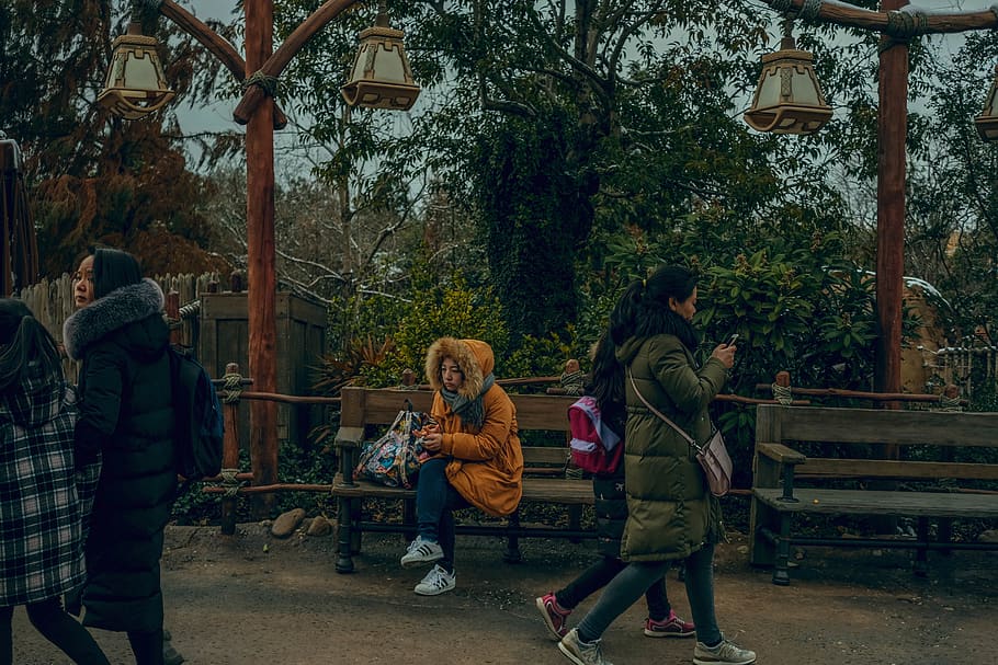china, shanghai, tree, real people, plant, group of people HD wallpaper