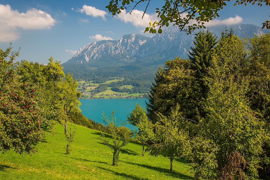attersee, hell mountains, bergsee, austria, plant, tree, beauty in nature HD wallpaper