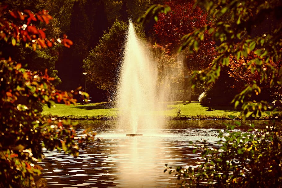 fountain, water drops, spray, spouting, pond, grass, tree, park HD wallpaper