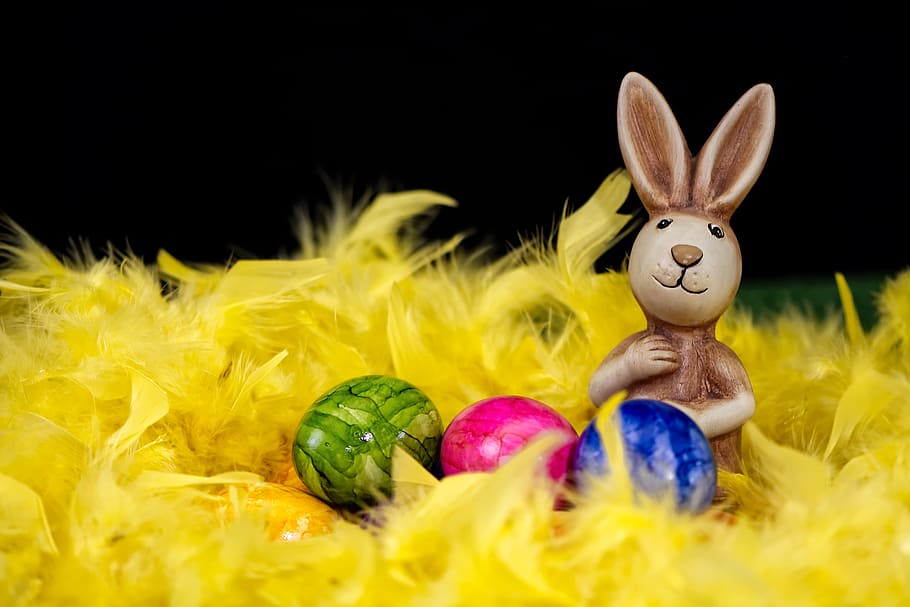easter bunny, easter eggs, greeting card, feather, festival HD wallpaper