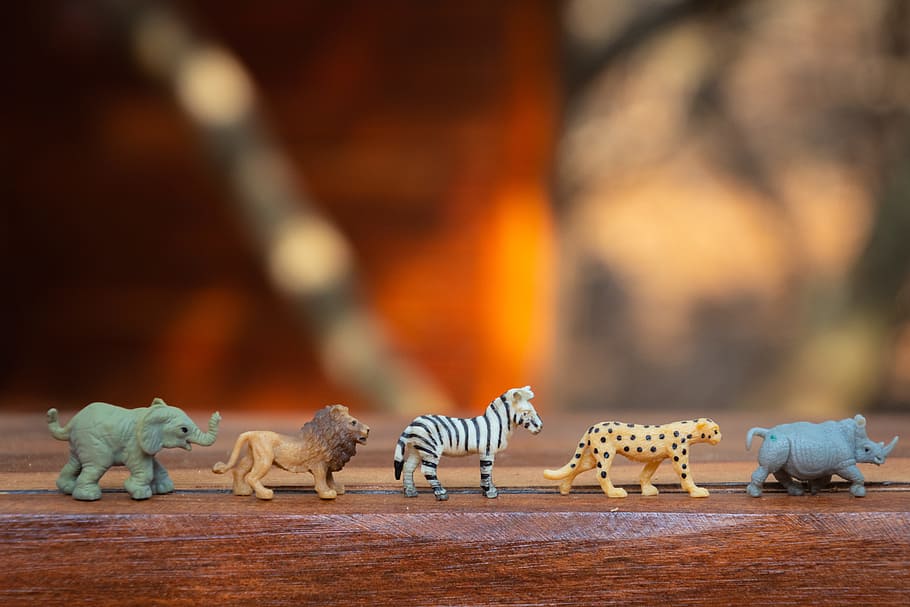 Plastic Animal Toys on Wooden Surface, animals, blur, colors