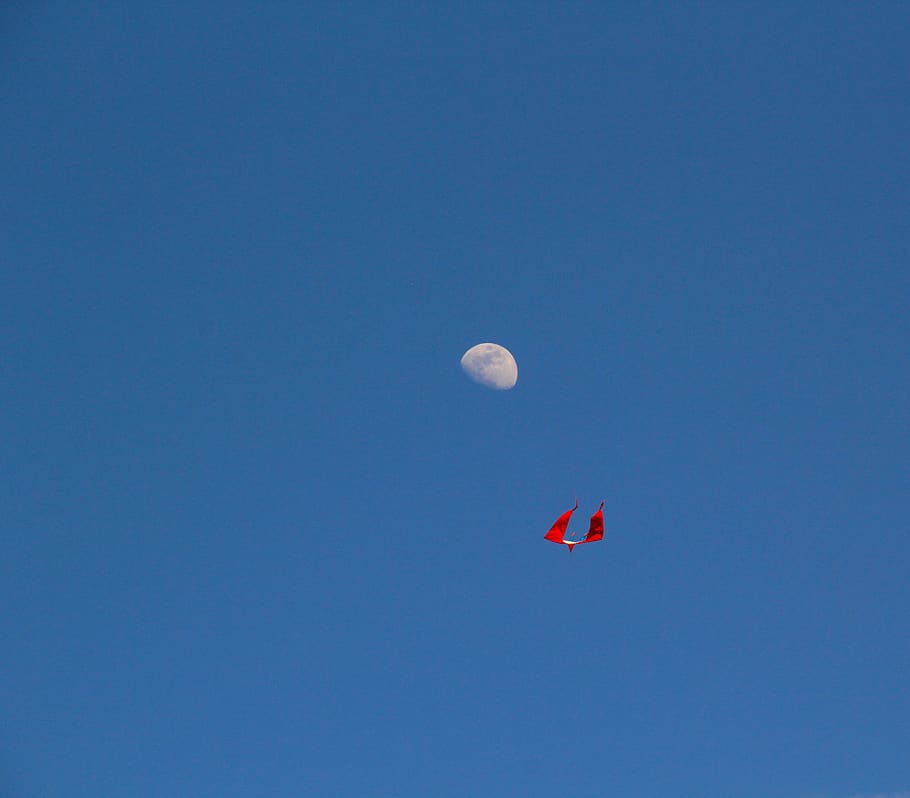 cometa, kite, blue, sky, clear sky, flying, copy space, low angle view HD wallpaper