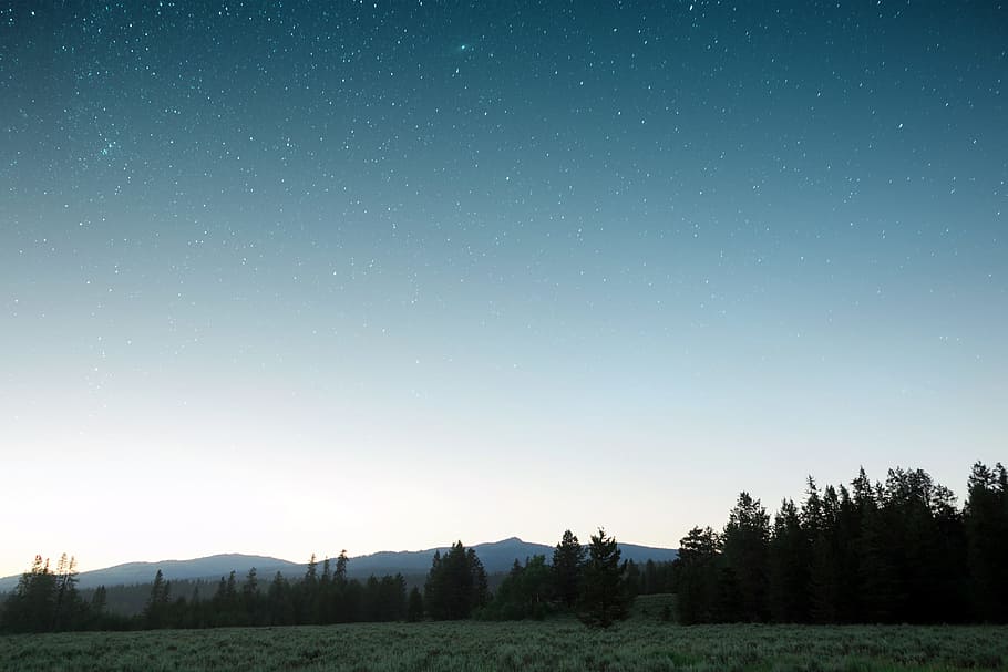 landscape photography of silhouette of trees, sky, grass, field HD wallpaper