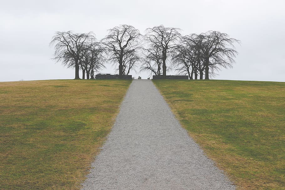 grey, sky, grass, path, gravel, trek, trees, plant, the way forward HD wallpaper