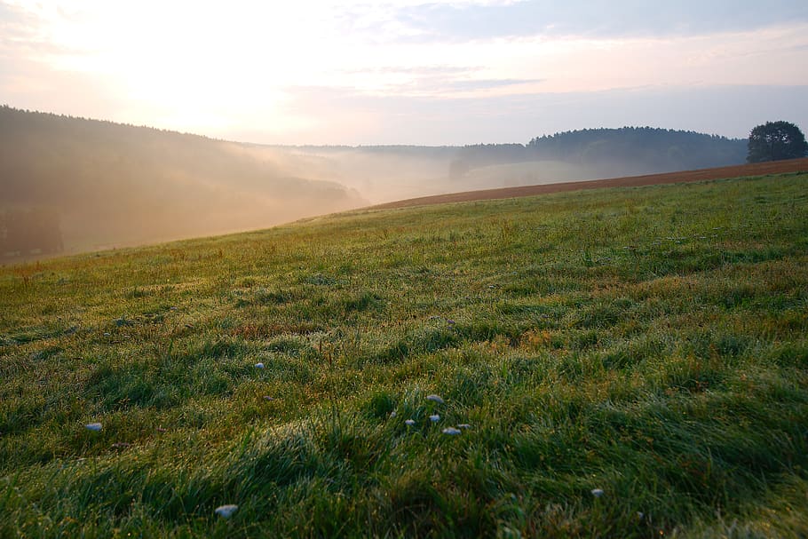 panorama, nature, landscape, grass, sky, horizontal, field HD wallpaper