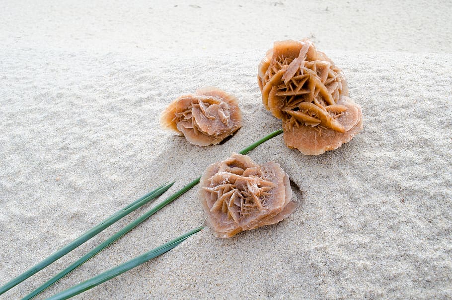 sand rose, food, food and drink, no people, high angle view HD wallpaper