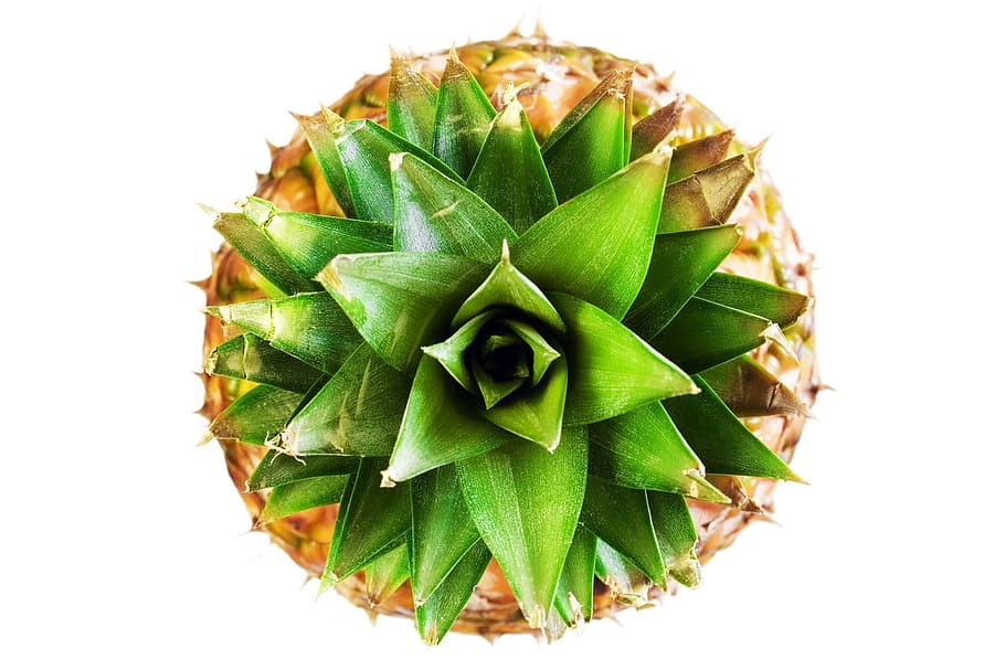 pineapple, ananas, background, citrus, delicious, eat, food HD wallpaper