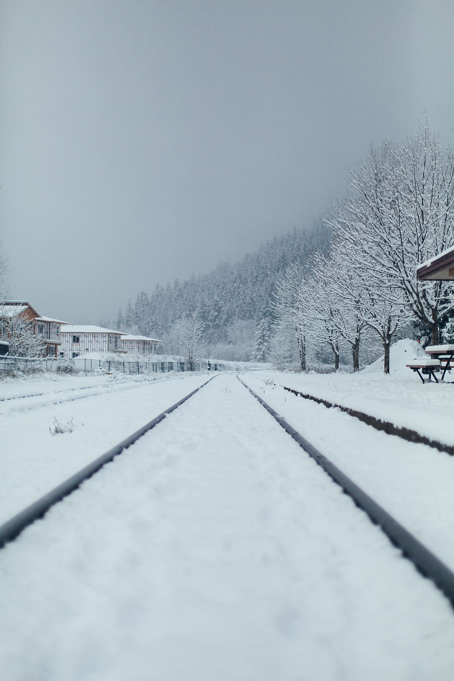 snow covered road during daytime, cold temperature, winter, white color HD wallpaper
