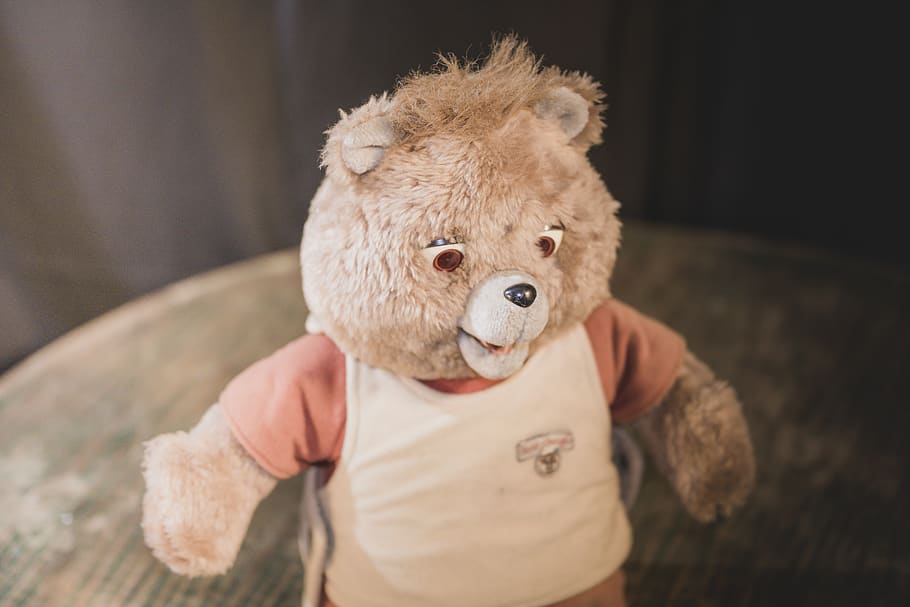 brown bear plush toy, one person, holding, front view, childhood HD wallpaper