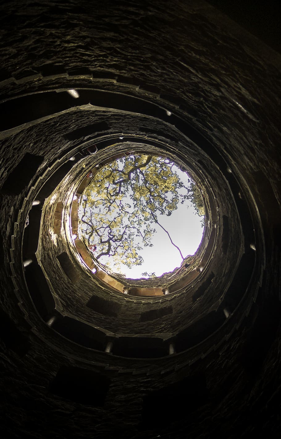 up, tunnel, light, tree, well, no people, indoors, day, circle HD wallpaper