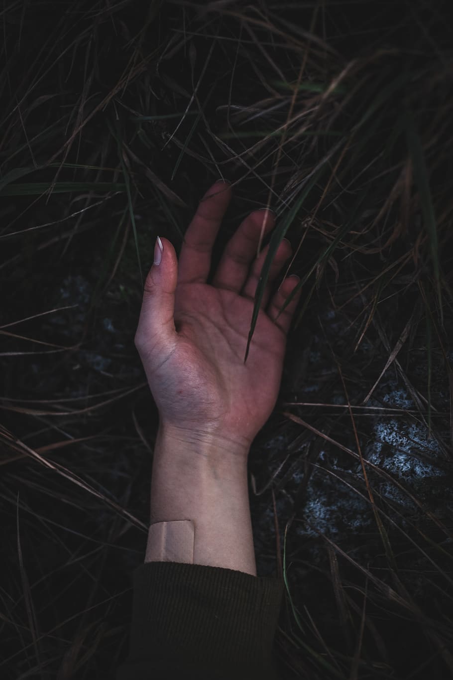 left human palm, human hand, human body part, one person, real people HD wallpaper