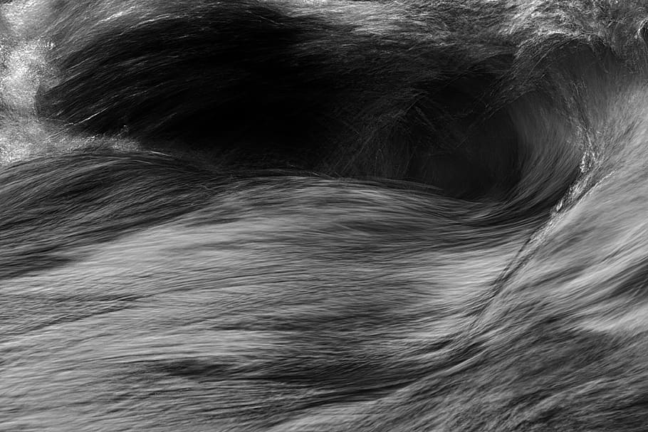grayscale waves, fur, animal, mammal, cat, pet, wolf, hair, canine HD wallpaper