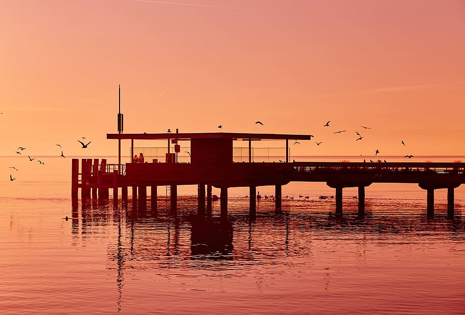 pier, dock, beach, ocean, sea, birds, sunset, dusk, silhouette HD wallpaper