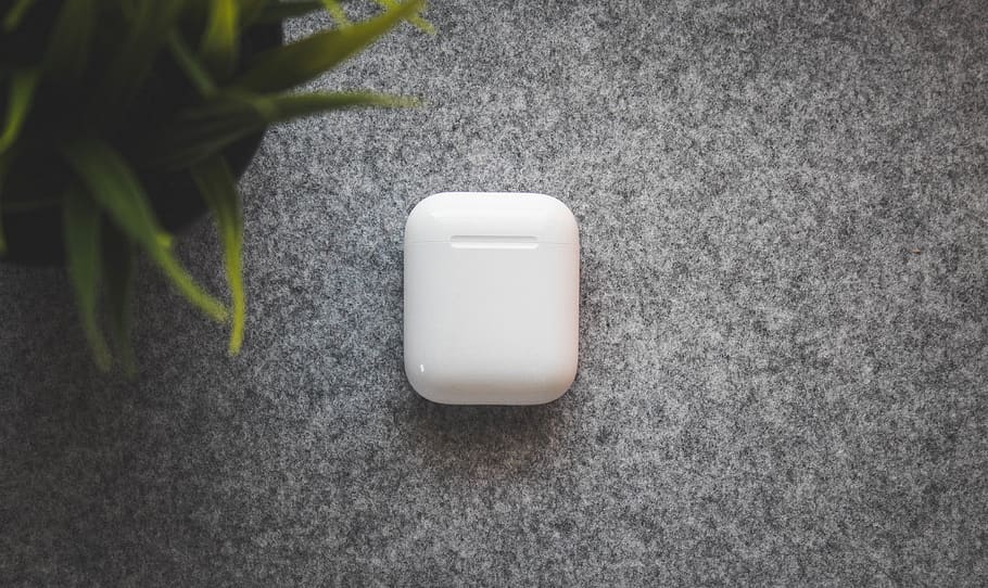 white plastic container on table, no people, nature, plant, high angle view HD wallpaper