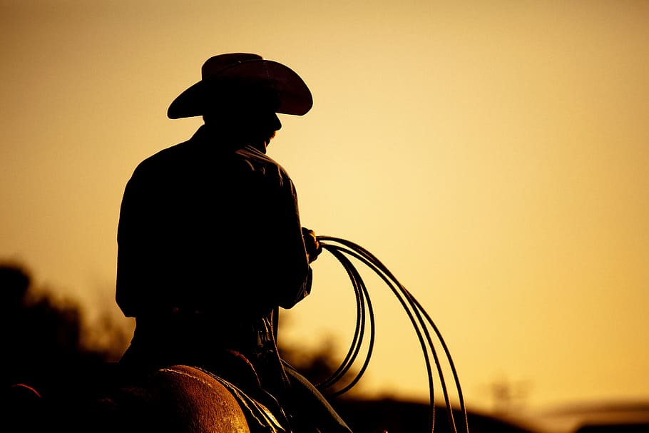 master, horse, ride, riding, rider, expert, silhouette, sunset HD wallpaper