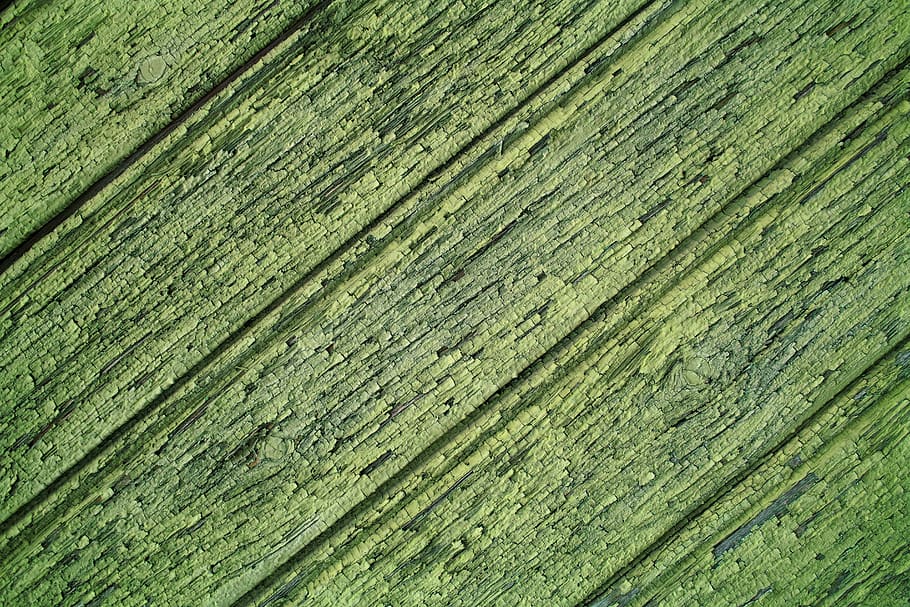 wood, green, structure, background, texture, pattern, material HD wallpaper