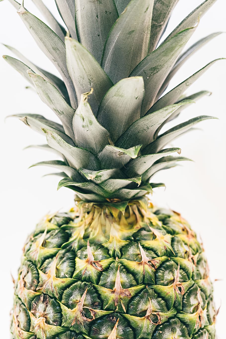 pineapple, dessert, appetizer, fruit, juice, food, juicy, tropical fruit HD wallpaper