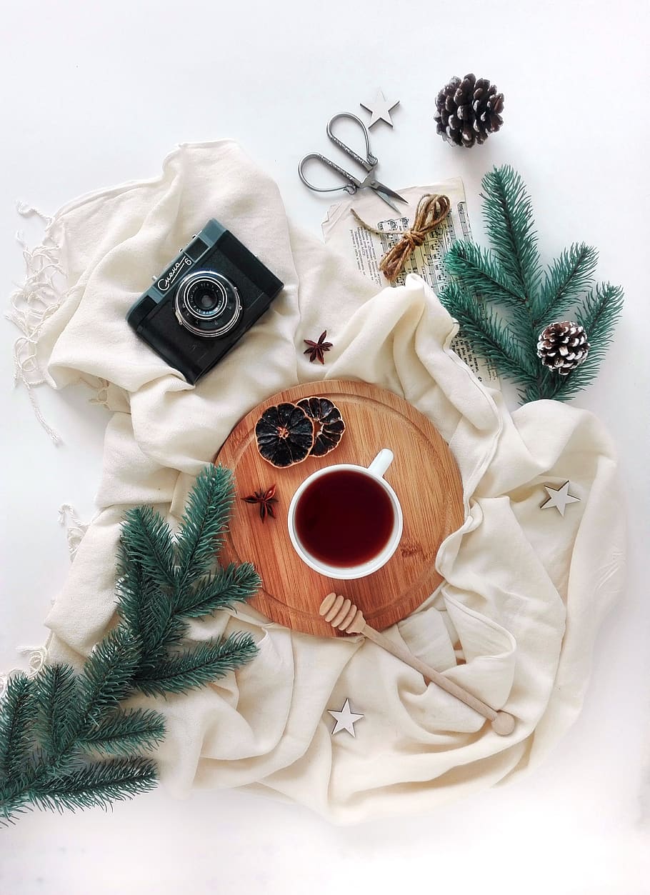 layout, tea, tea party, spruce, branch, camera, food and drink HD wallpaper