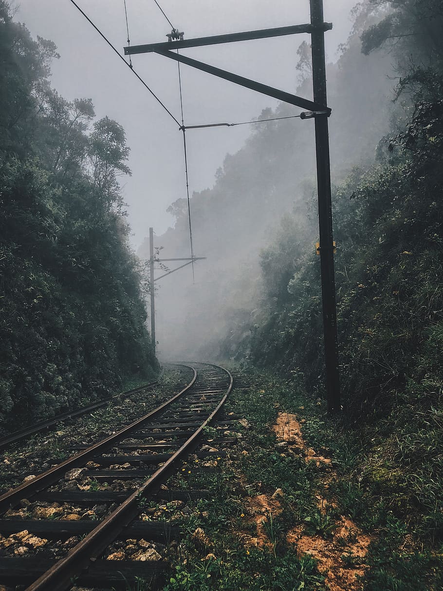 rail transportation, railroad track, plant, tree, fog, nature HD wallpaper