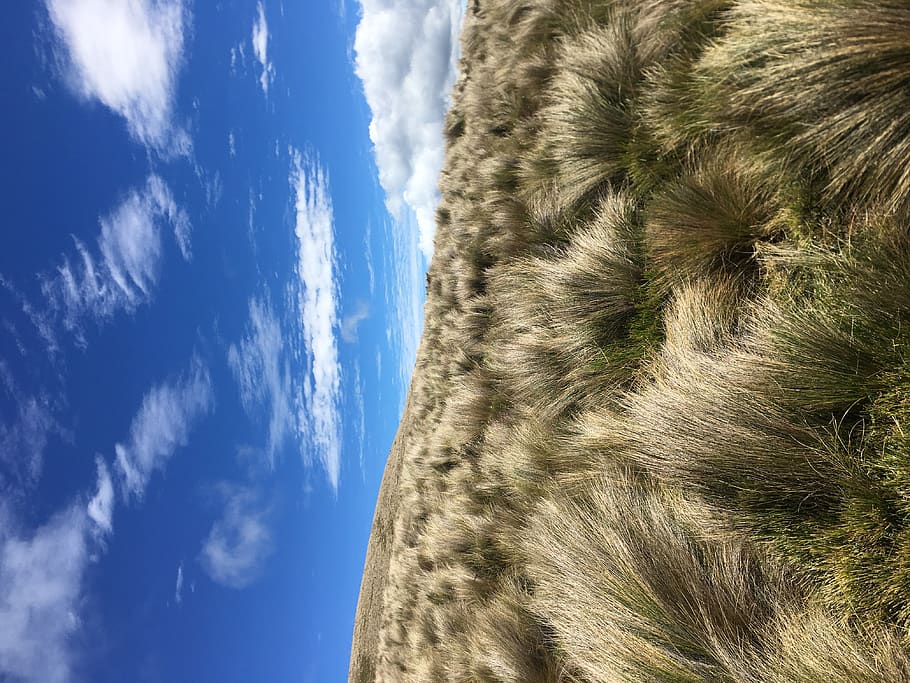 ecuador, pichincha, sky, cloud - sky, nature, blue, day, no people HD wallpaper