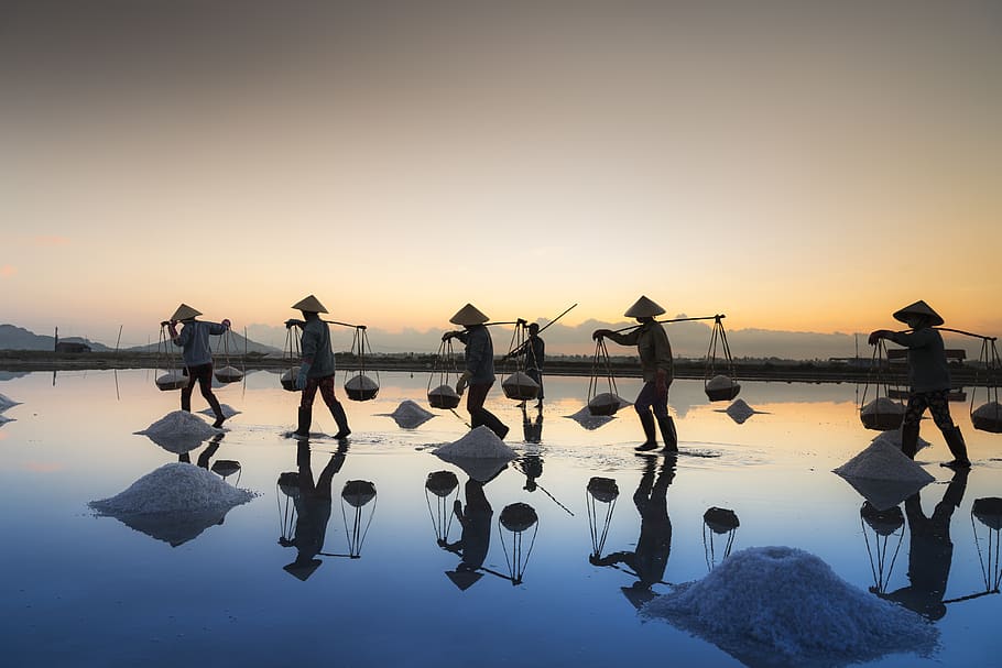 Silhouette Photography Of People , backlit, dawn, dusk, group HD wallpaper