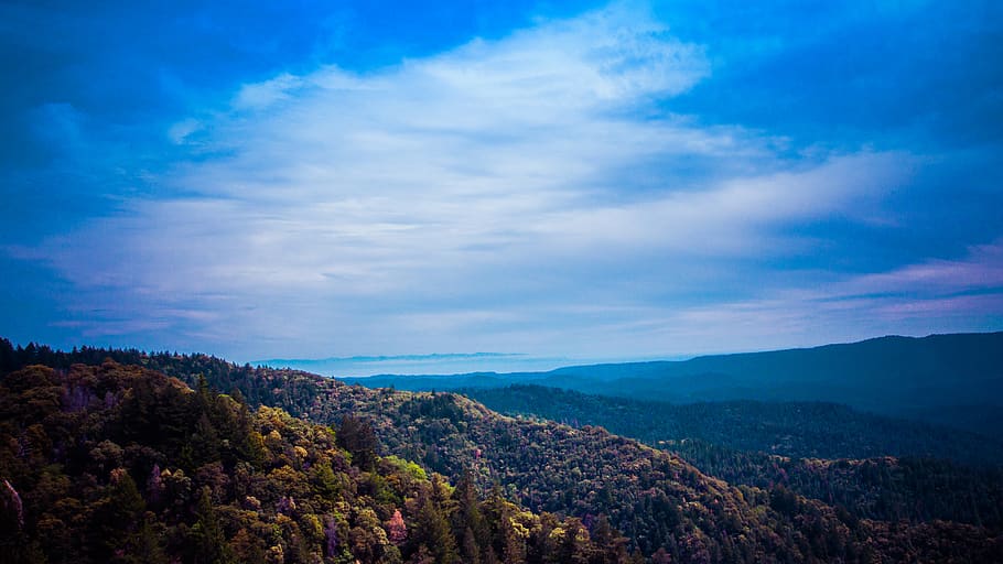 tree, hike, forest, sky, weather ca, california, scenics - nature HD wallpaper