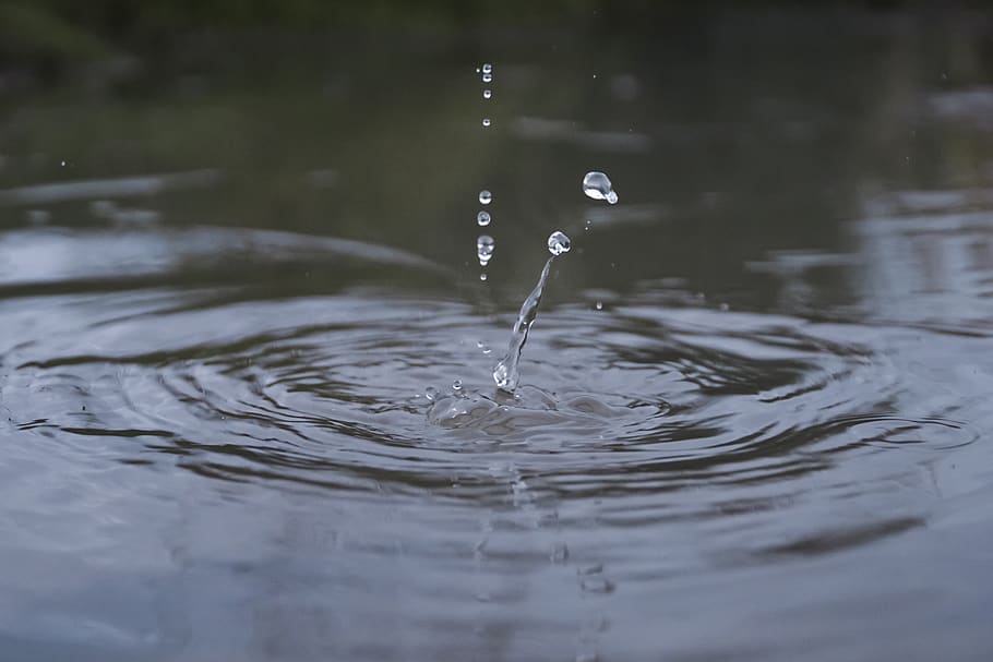 water, drip, m, wet, drop of water, nature, inject, beaded HD wallpaper