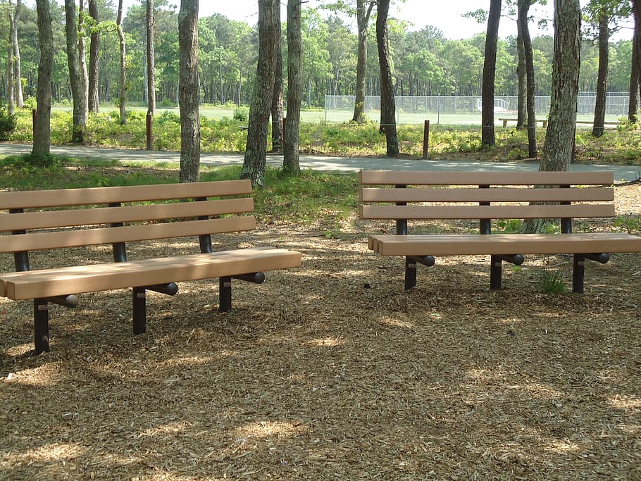 park, bench, shade, trees, plant, seat, tree trunk, nature HD wallpaper
