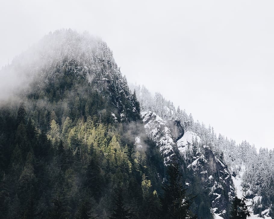 mountains, hills, snow, cold, winter, trees, forest, woods HD wallpaper
