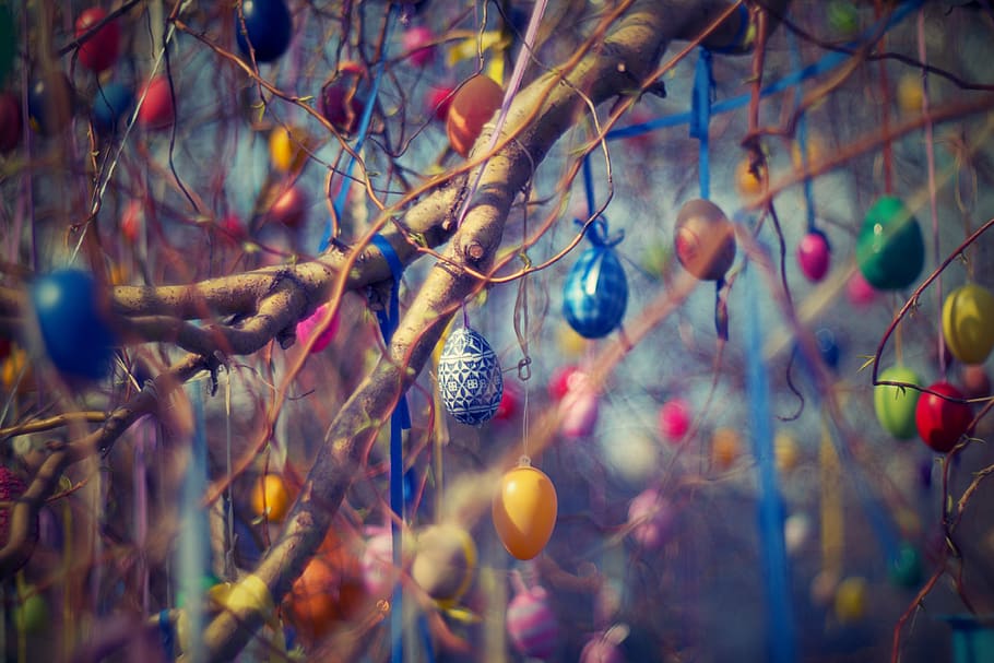 Assorted-color Hanging Decors on Tree, art, blur, branches, bright HD wallpaper